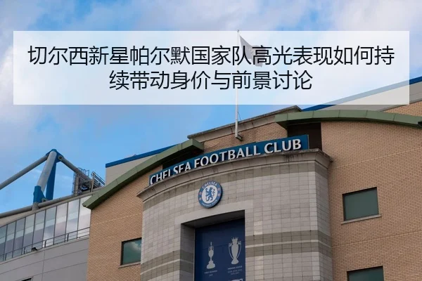 切尔西新星帕尔默国家队高光表现如何持续带动身价与前景讨论